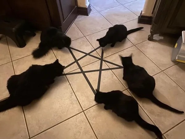 BlackCatPenticle.jpg