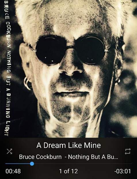 Bruce Cockburn - Nothing.jpg