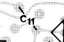 C11.JPG