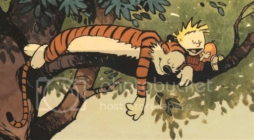 calvin-and-hobbes-sleeping-in-a-tre-2463712196.jpeg