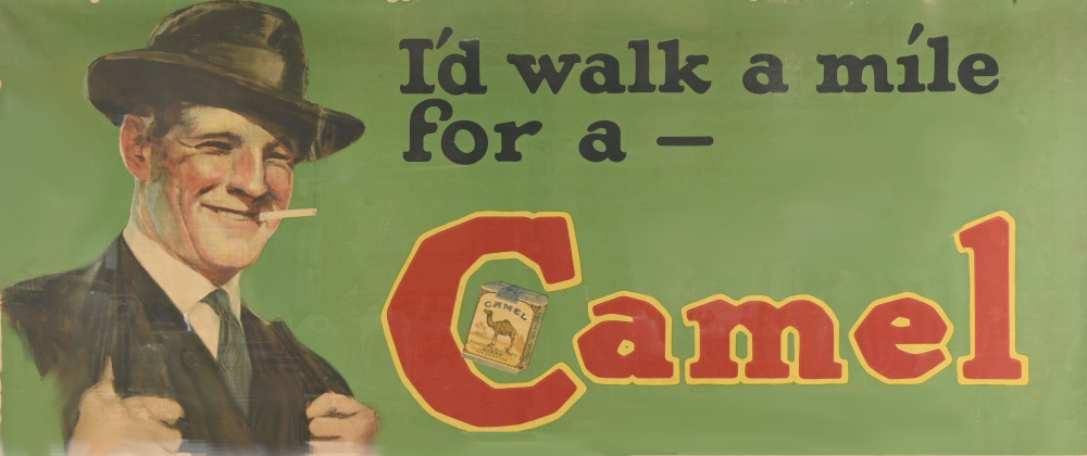 Camel.jpg