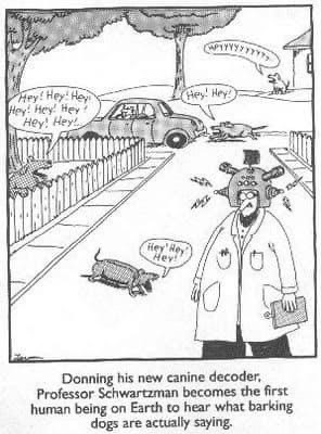 Canine decoder.JPG