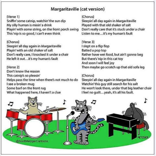 cat version.PNG
