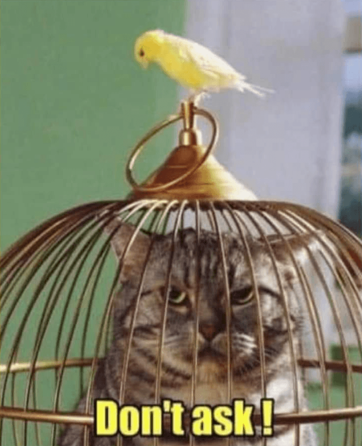 cat_cage.png