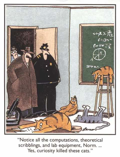 Cats.jpeg