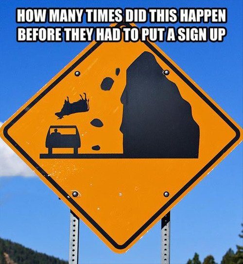 Caution FallinCows.jpg