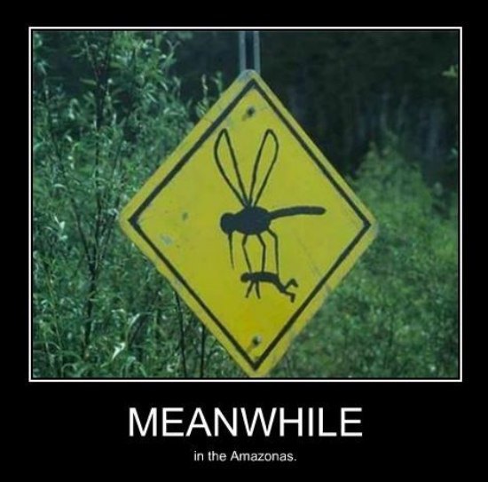Caution Mosquitos.jpg