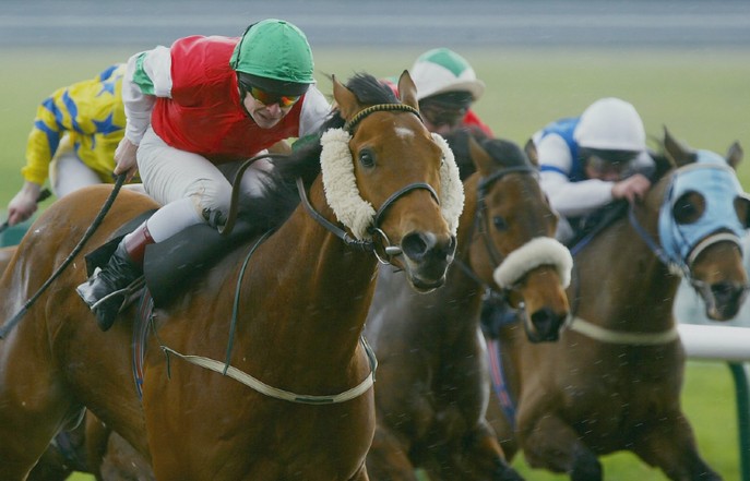 Cheekpieces in Horse Racing.jpg