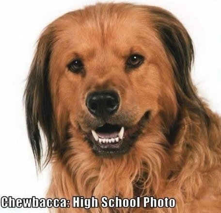 CHEWBACCA HIGH SCHOOL PICTURE.jpg