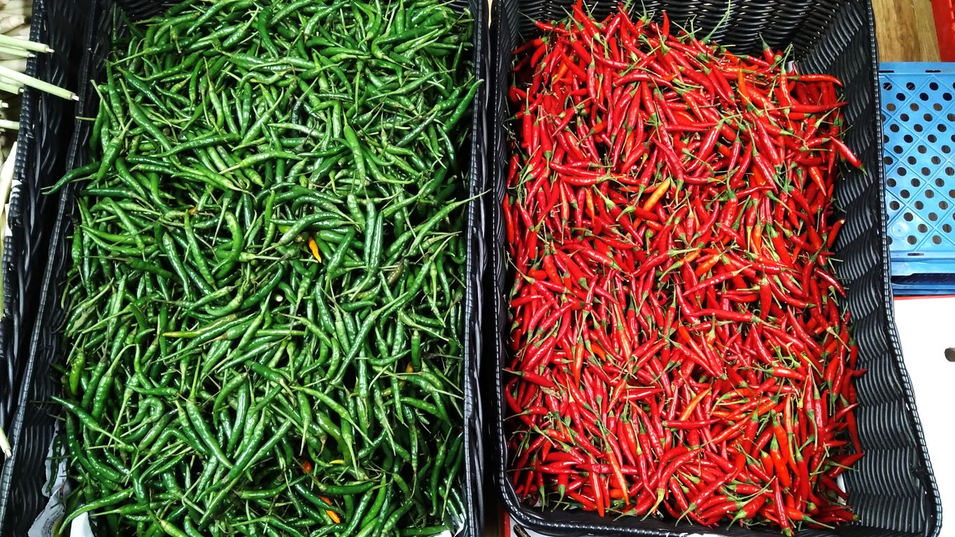 Chili Red Green.jpg