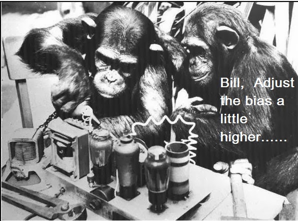 Chimps_radio.jpg