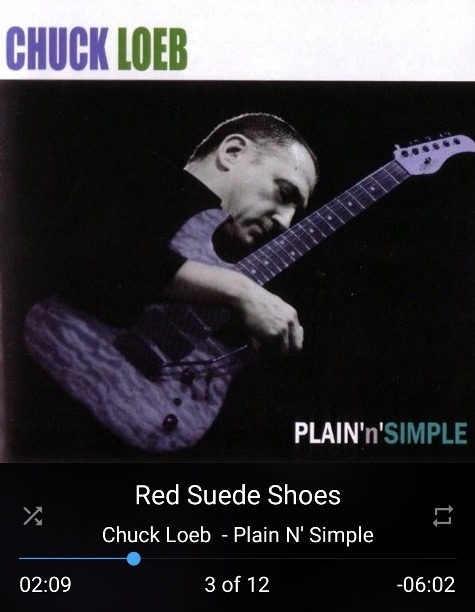 Chuck Loeb - Plain.jpg
