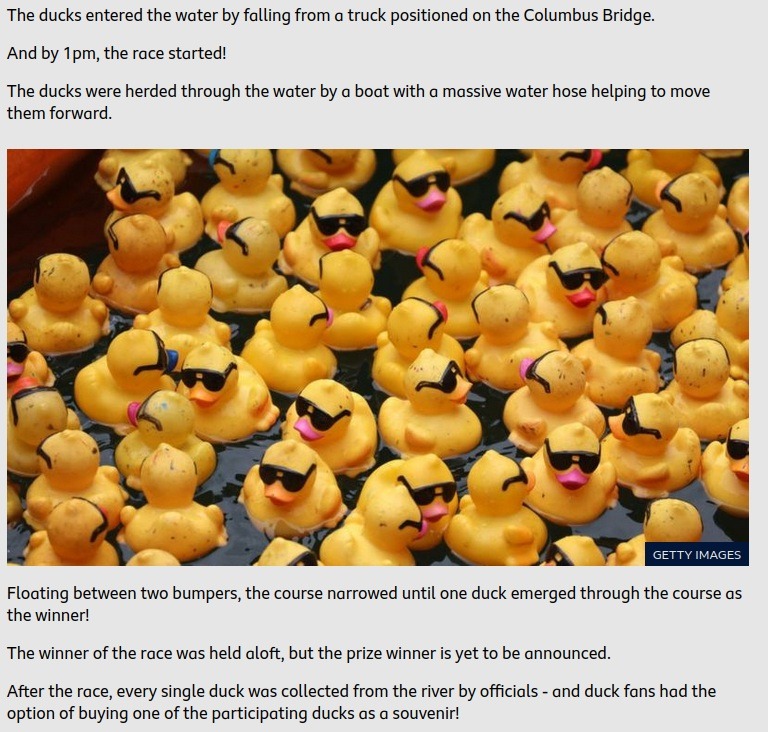 Cicago Ducky Derby Image.jpg