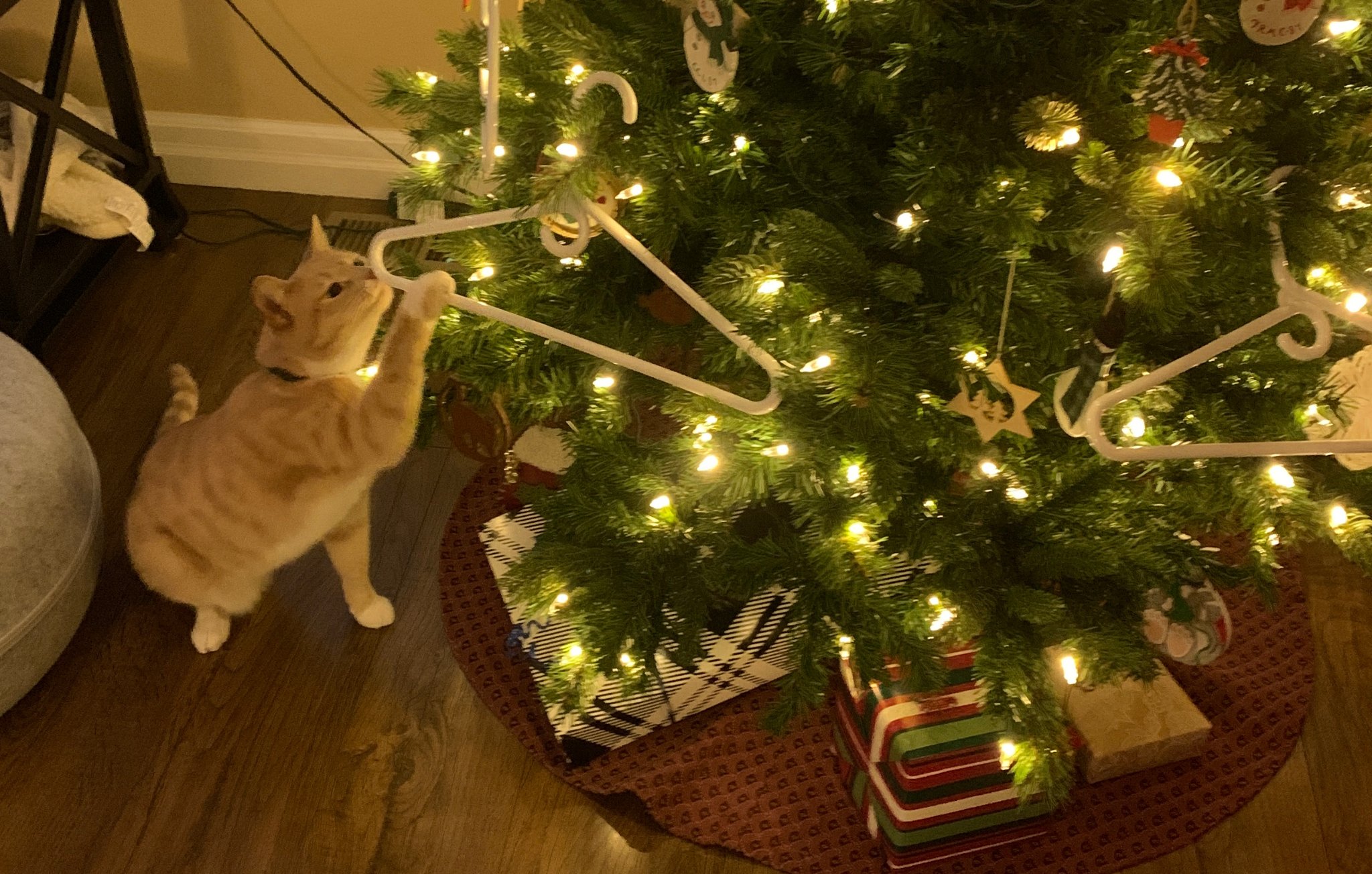 Clide Decorates.jpg
