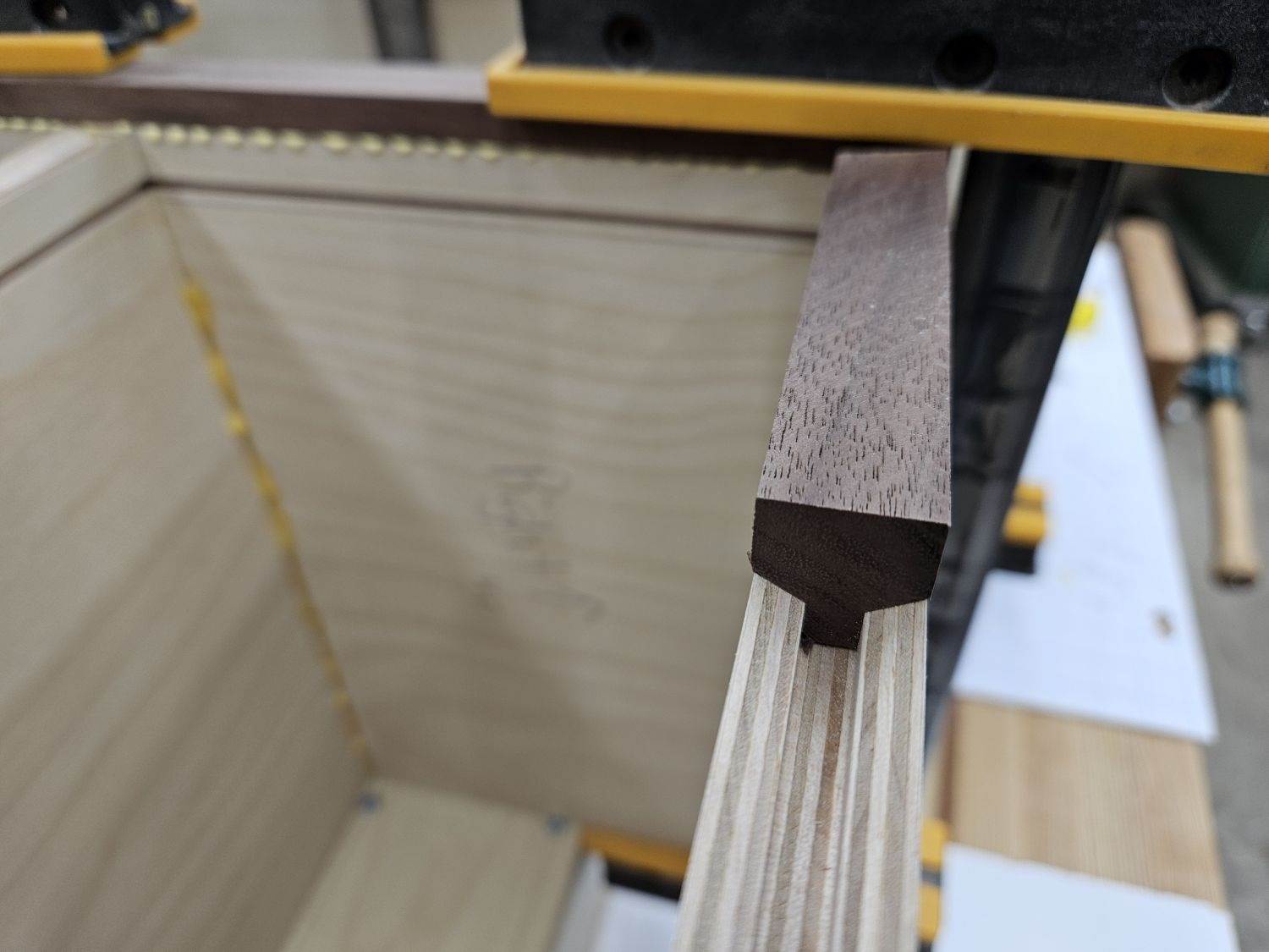 close up of edging.jpg