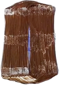 Coil flattened left to right.png