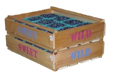 crates.jpg