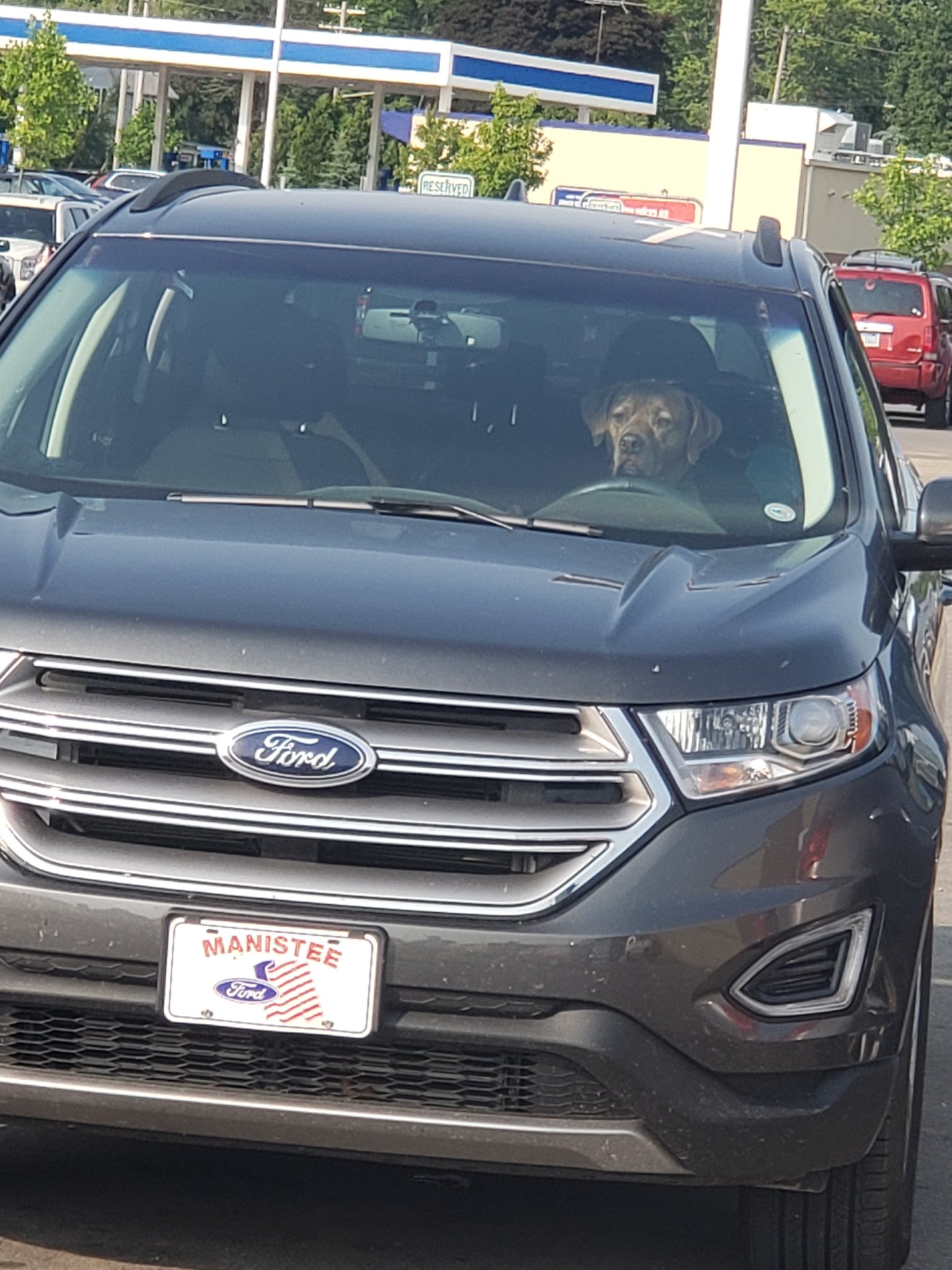 crazy driver1.jpg
