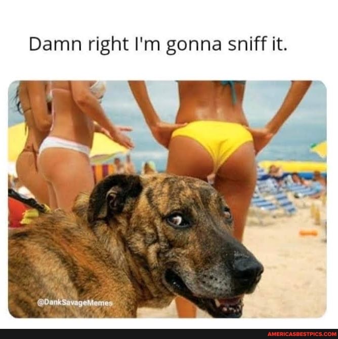 damn right im gonna sniff.jpg