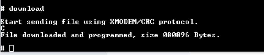 dbg-download-successful.png