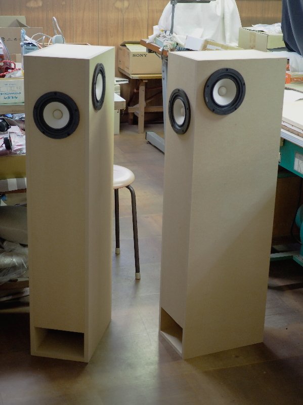 DDVP-1303-WHIM-03.jpg