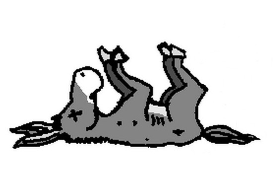 Dead Donkey.jpg