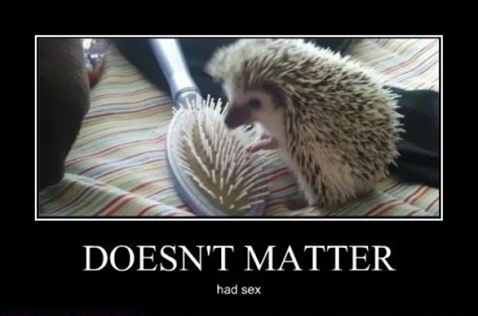 demotivators_picdump_224_640_082.jpg