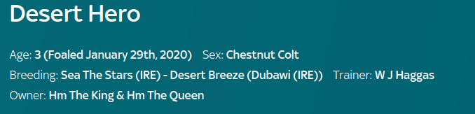 Desert Hero S7.png