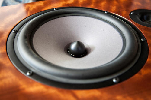 DeVore-o-93 woofer.jpg