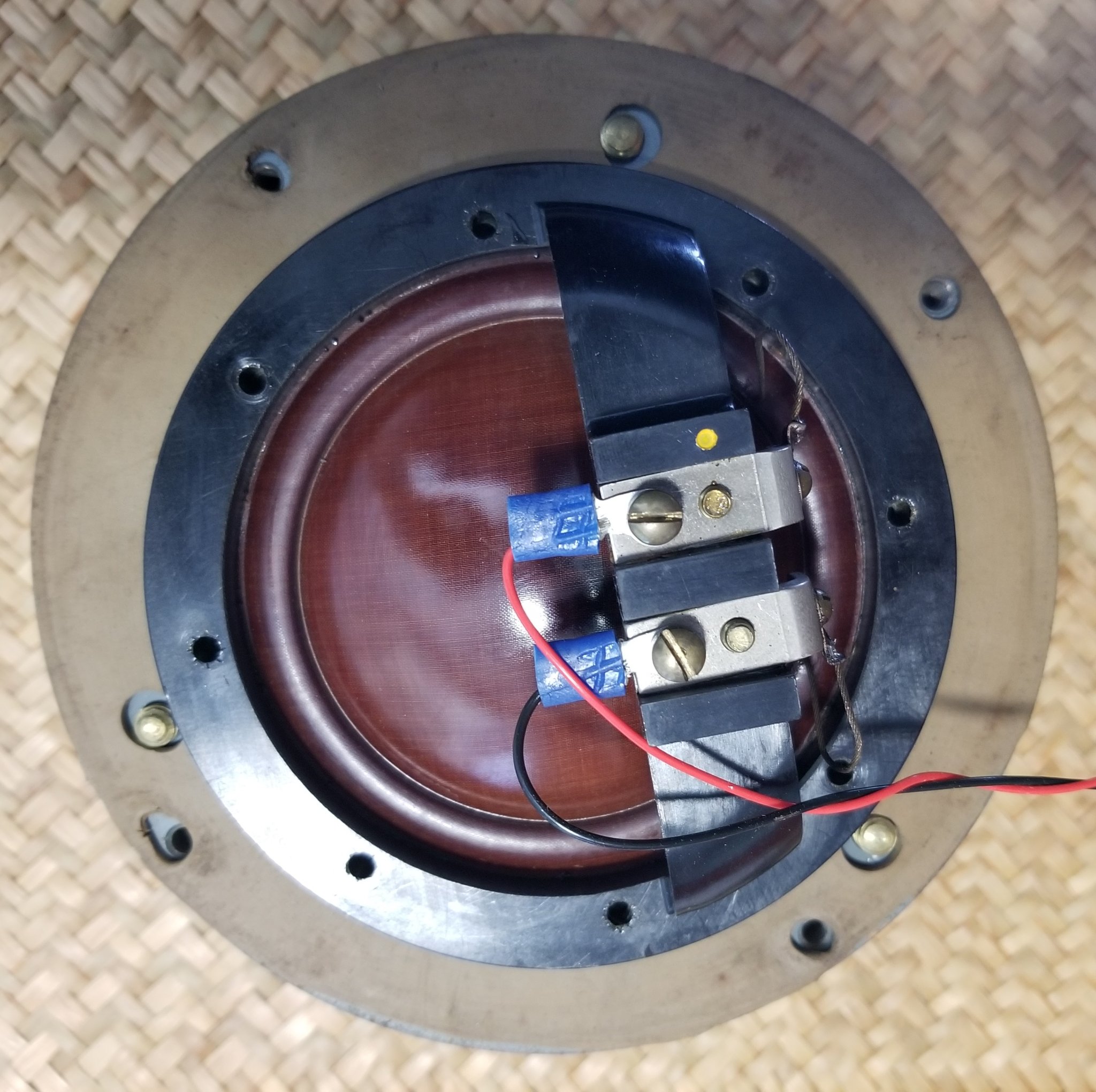 Diaphragm_assembly.jpg