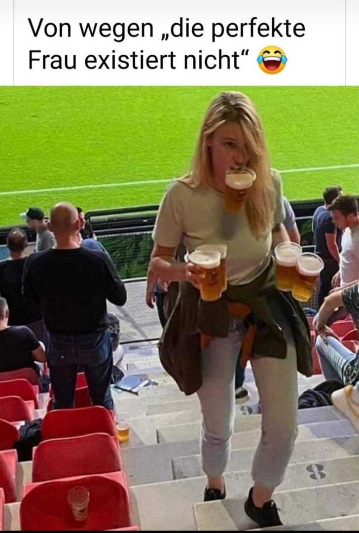 Die_perfekte_Frau.jpg