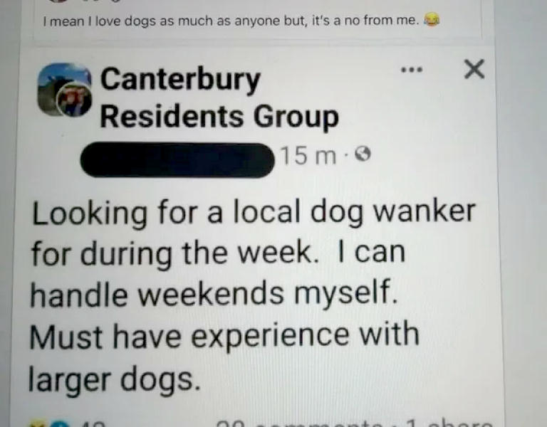 DogWalker.jpg