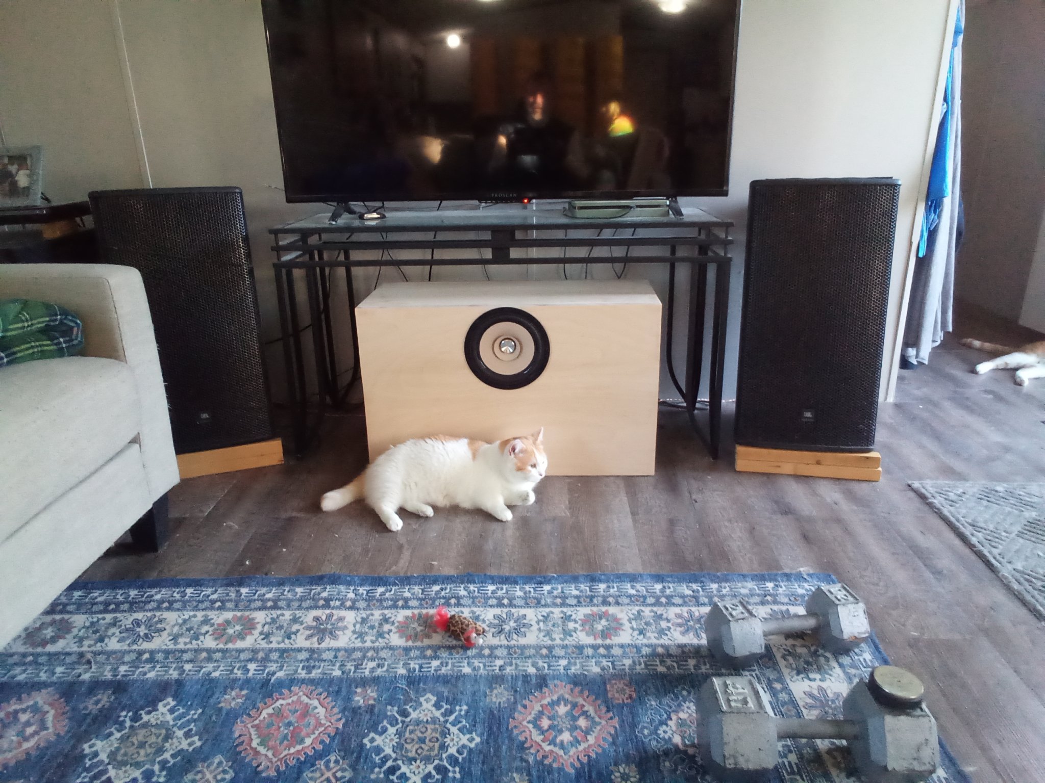 done under tv.jpg