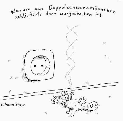doppelschwanzmaennchen-578581ae-ee8e-403d-b9bc-505d161cf1b7.jpg