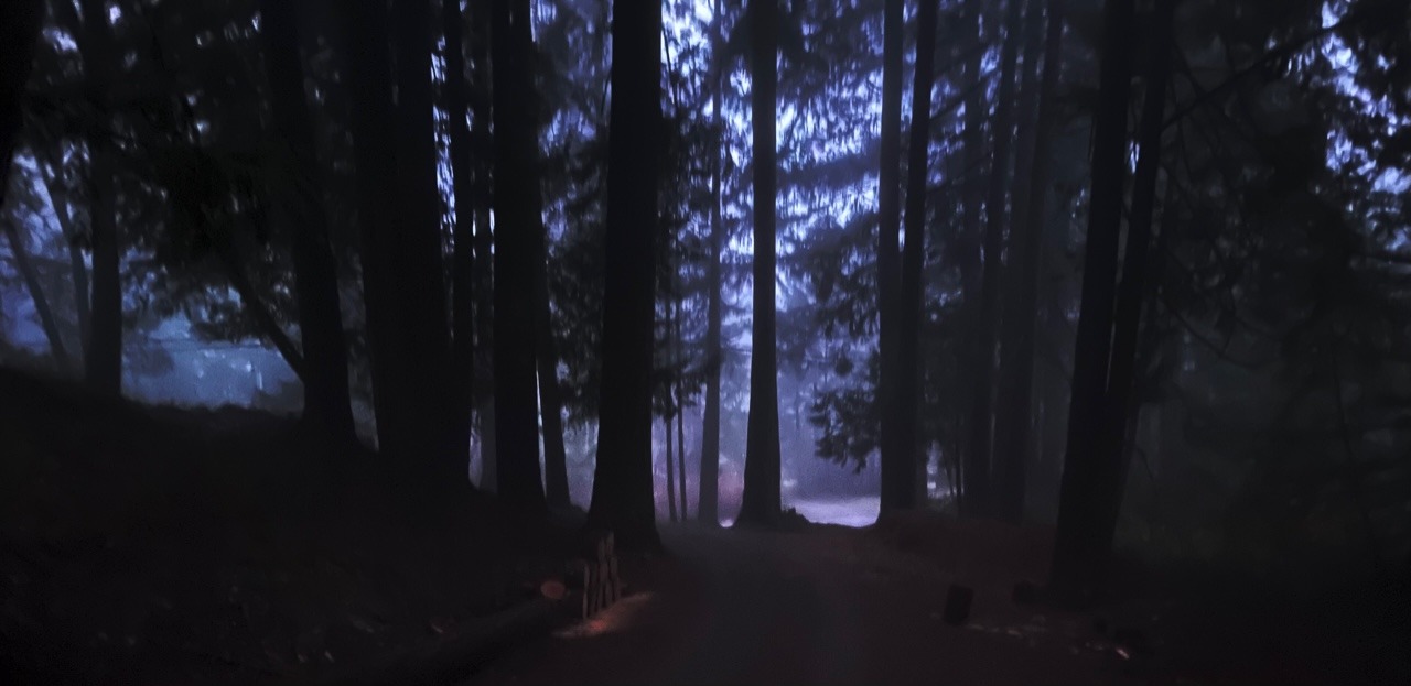 drivewayAtNightinFog.jpg