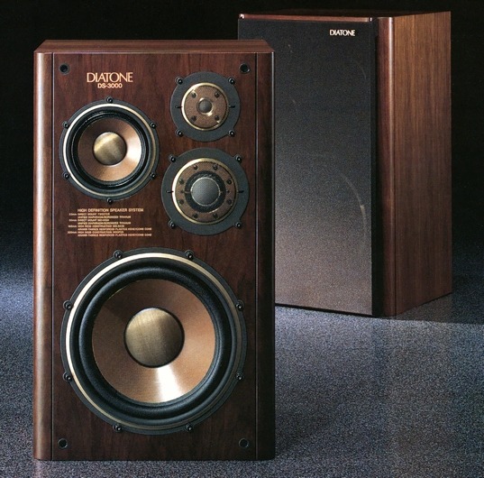 DS-3000.jpg