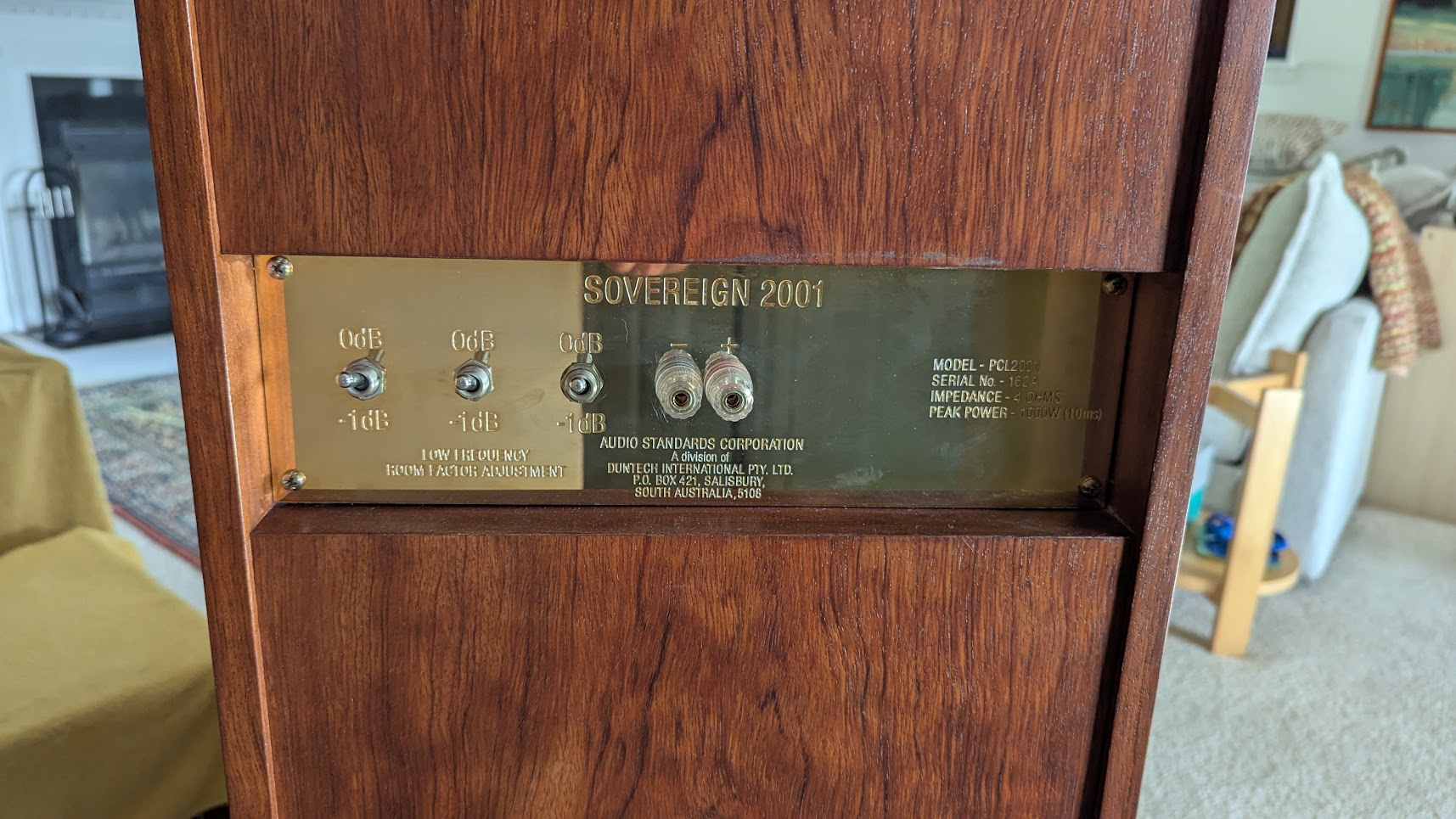 DS Backplate.jpg