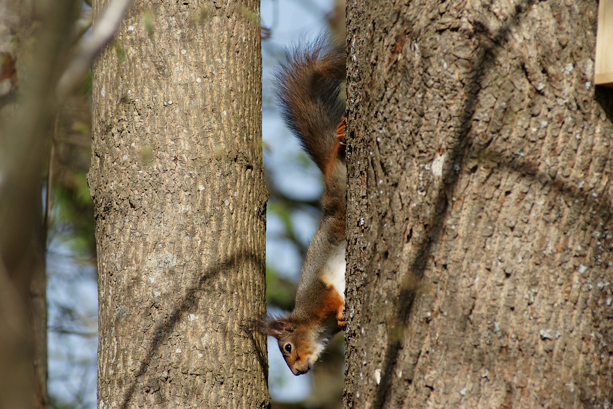 DSC01792.jpg