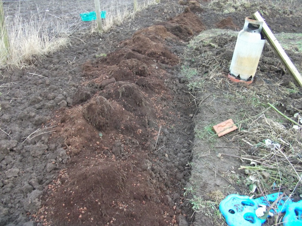 DSCF5586.JPG
