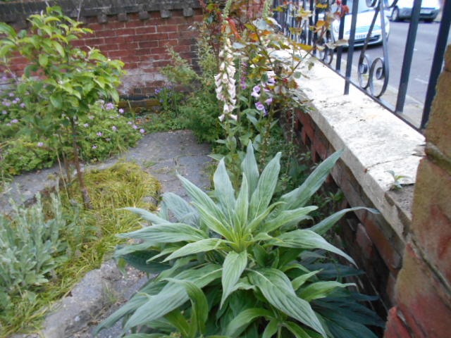DSCN0014.JPG