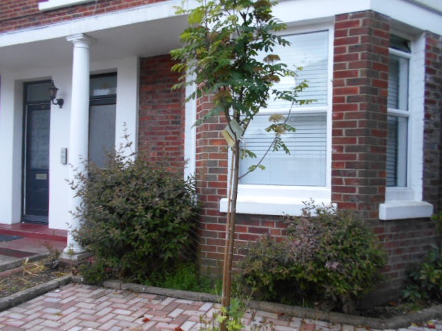 DSCN0015.JPG