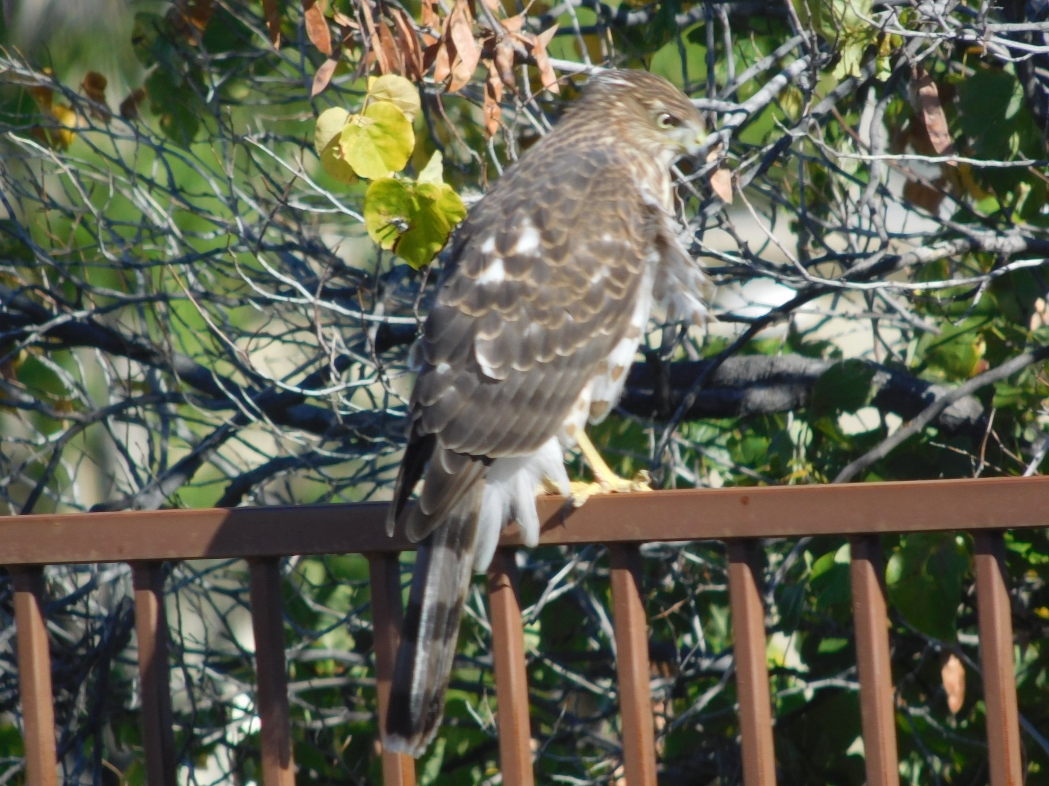 DSCN0728.JPG