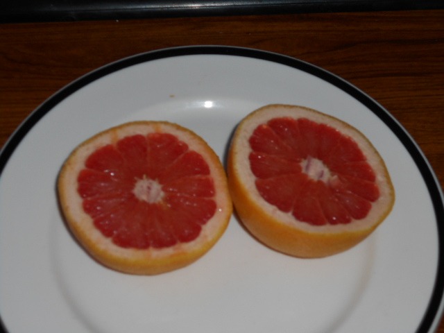 DSCN0762.JPG