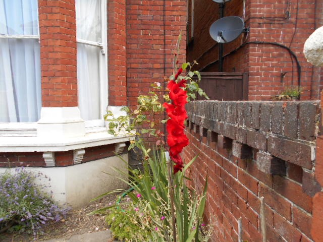 DSCN0867.JPG