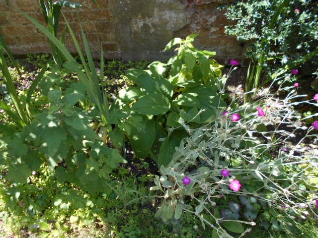 DSCN0868.JPG