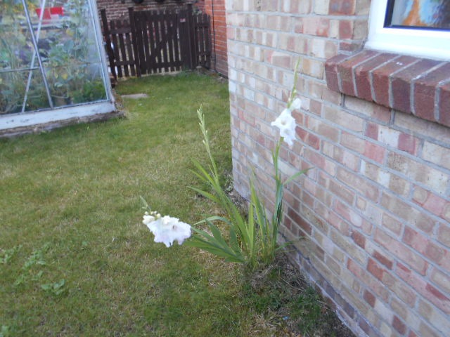 DSCN0911.JPG