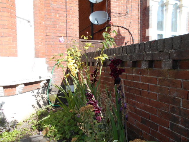 DSCN0914.JPG
