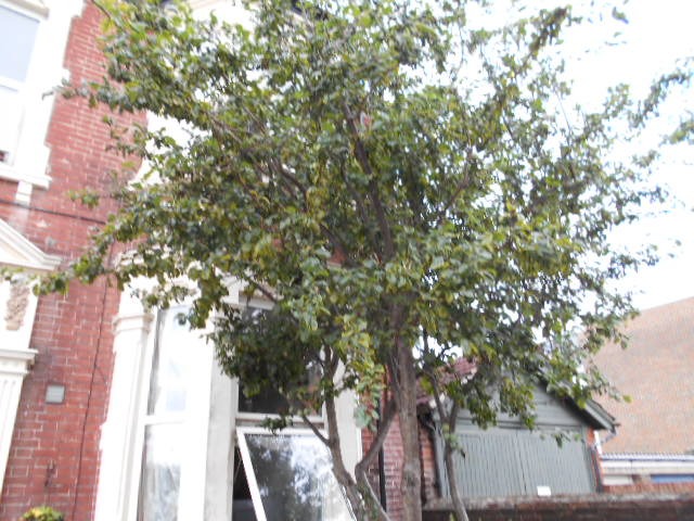 DSCN0923.JPG