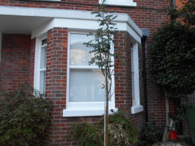 DSCN1189.JPG