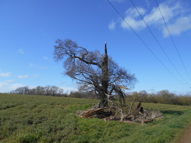 DSCN1928.JPG